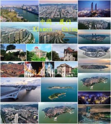 天津到厦门物流专线 天津到厦门物流专线