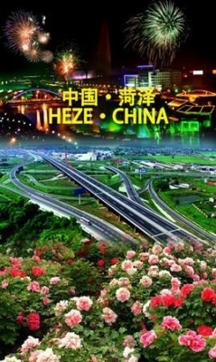 天津到菏泽物流专线 天津到菏泽物流专线