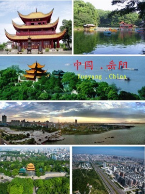 天津到岳阳物流专线 天津到岳阳物流专线