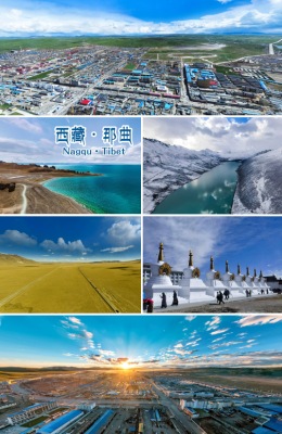 天津到那曲物流专线 天津到那曲物流专线