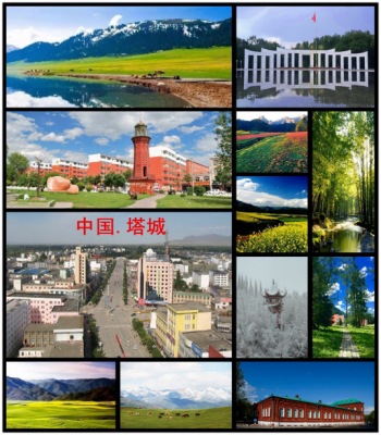 天津到塔城物流专线