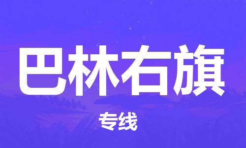 天津到巴林右旗物流公司|天津到巴林右旗物流专线|天津到巴林右旗货运专线
