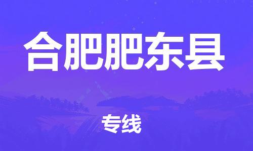 天津到合肥肥东县物流专线-天津到合肥肥东县货运公司-