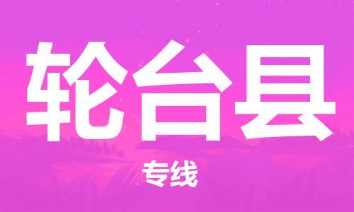 天津到轮台县货运公司_天津到轮台县物流货运专线