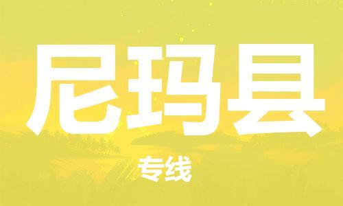 天津到尼玛县货运公司_天津到尼玛县物流专线行李托运专线