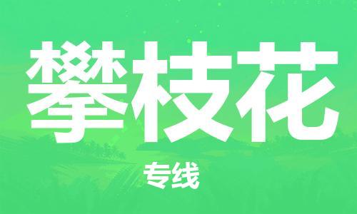 天津到攀枝花物流公司|天津到攀枝花专线|货运公司