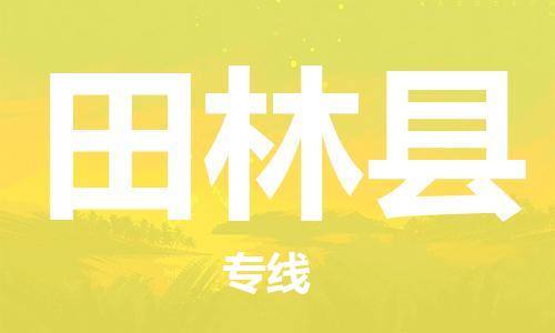 天津到田林县货运公司_天津到田林县物流货运专线