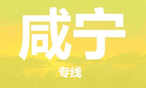 天津到咸宁物流公司|天津到咸宁物流专线-