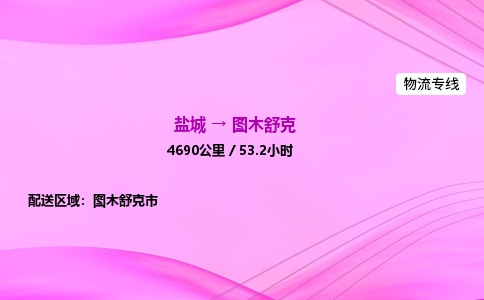 盐城到图木舒克货运公司_盐城到图木舒克物流专线_盐城到图木舒克物流公司