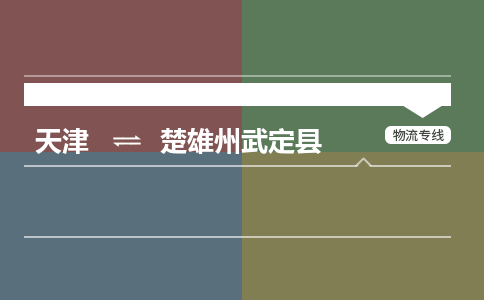 天津到楚雄州武定县物流专线-楚雄州武定县到天津货运公司-物流专线市县派送