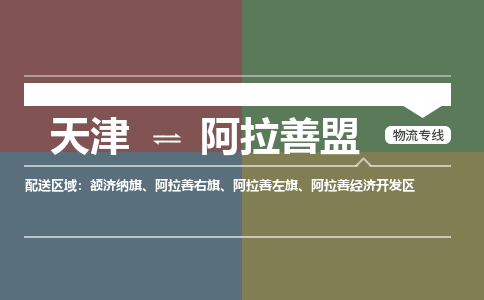 天津到阿拉善盟物流公司-天津至阿拉善盟专线-高效、便捷、省心！