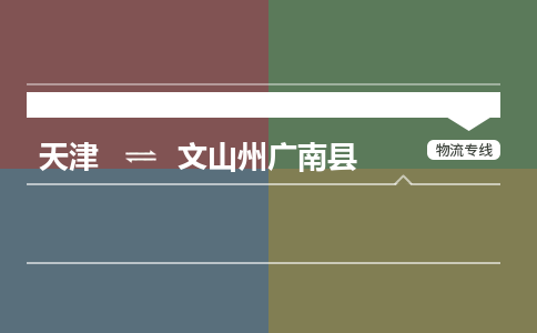 天津到文山州广南县物流专线-文山州广南县到天津货运公司-物流专线天天发车