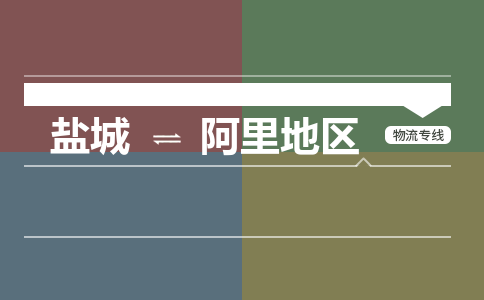 盐城到阿里地区货运公司_盐城到阿里地区物流专线_盐城到阿里地区物流公司