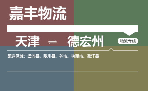 天津到德宏州物流公司|天津至德宏州物流专线（区域内-均可派送）