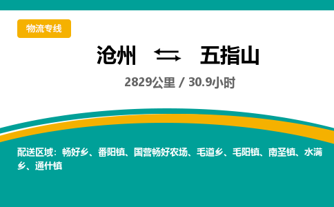沧州到五指山货运公司直达物流专线_沧州到五指山物流公司回程车配货 沧州到五指山货运公司直达物流专线_沧州到五指山物流公司回程车配货