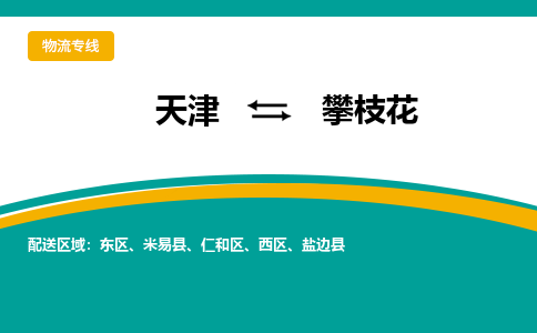 天津到攀枝花物流公司-天津至攀枝花货运专线-天津到攀枝花货运公司