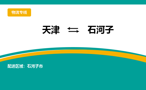 天津到石河子货运专线-天津到石河子货运公司-门到门一站式物流服务