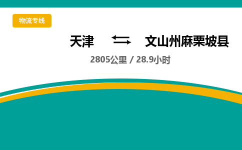 天津到文山州麻栗坡县物流专线-急件托运-天津至文山州麻栗坡县物流公司 天津到文山州麻栗坡县物流专线-急件托运-天津至文山州麻栗坡县物流公司