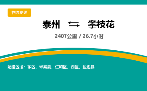 泰州到攀枝花物流专线-高效便捷的泰州至攀枝花专线