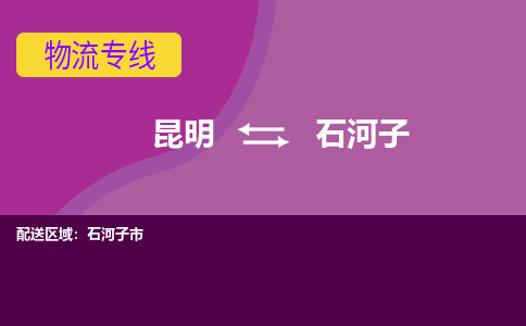 昆明到石河子物流专线-昆明至石河子货运公司