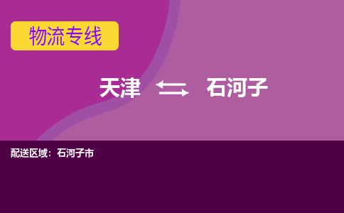 天津到石河子物流专线-天津到石河子货运专线