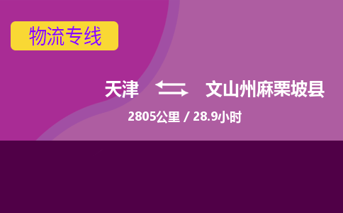 天津到文山州麻栗坡县物流专线-文山州麻栗坡县到天津货运公司-批发商货物运输专线
