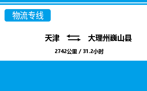 天津到大理州巍山县物流专线-大理州巍山县到天津货运公司-物流专线专业可靠