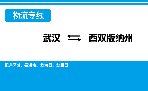 武汉至西双版纳州物流公司|武汉到西双版纳州货运专线