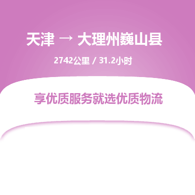 天津到大理州巍山县物流公司-天津至大理州巍山县专线(消费品运输专线)