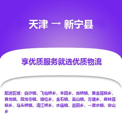 天津到新宁县货运公司_天津到新宁县物流货运专线